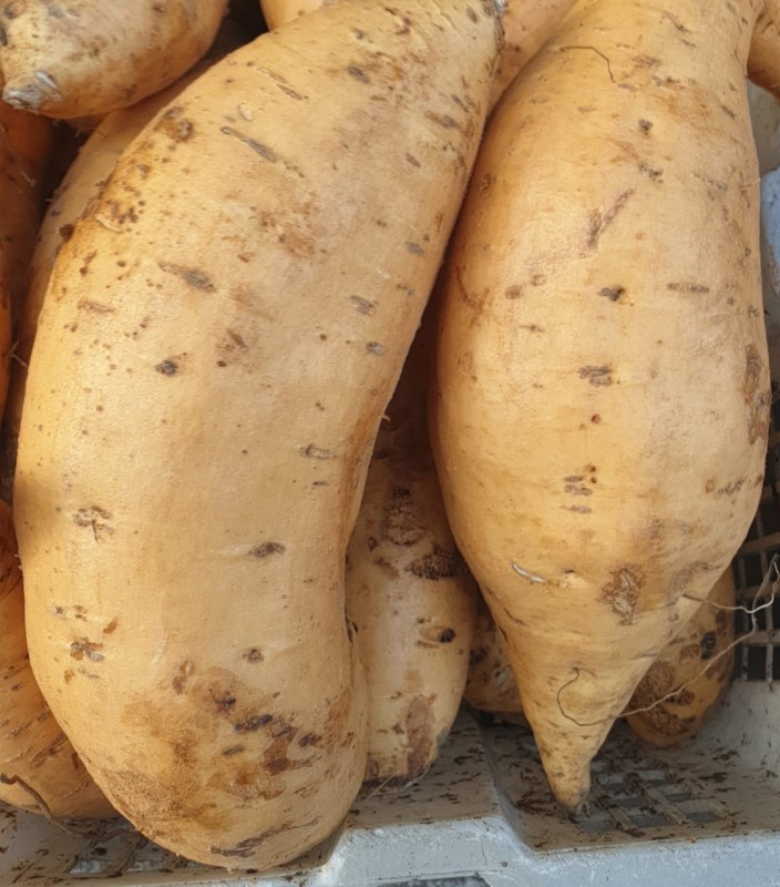Honey sweet potatoes from Indonesia
